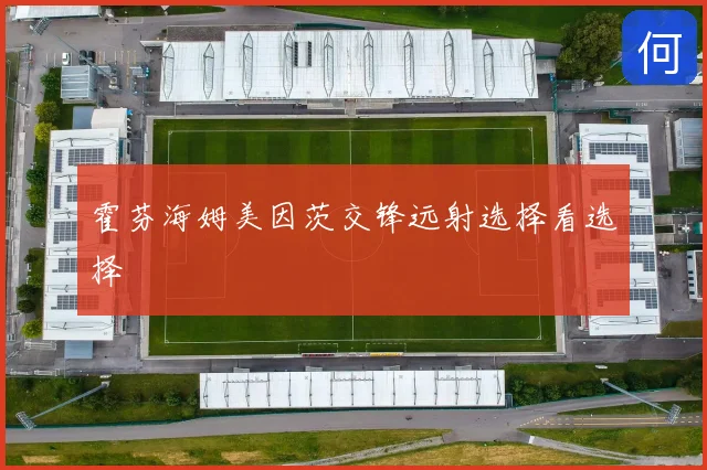 霍芬海姆美因茨交锋远射选择看选择