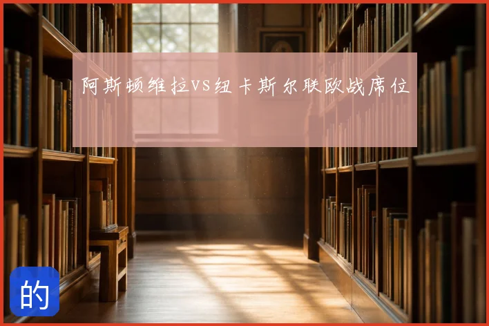 阿斯顿维拉vs纽卡斯尔联欧战席位
